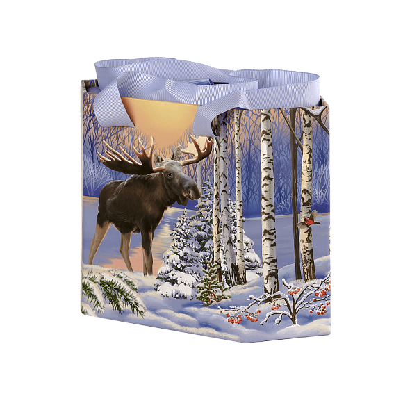 Сладкий новогодний подарок Зимняя палитра 2024